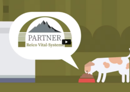 REICO Hundefutter auf dem Prüfstand: Ist die Hundemahlzeit.com-Bewerbung wirklich gut?